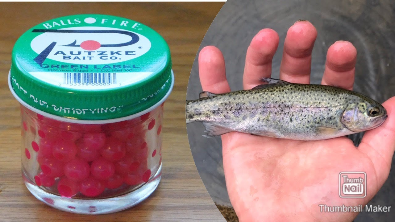 Marilyn’s Pond Fishing With Salmon Eggs