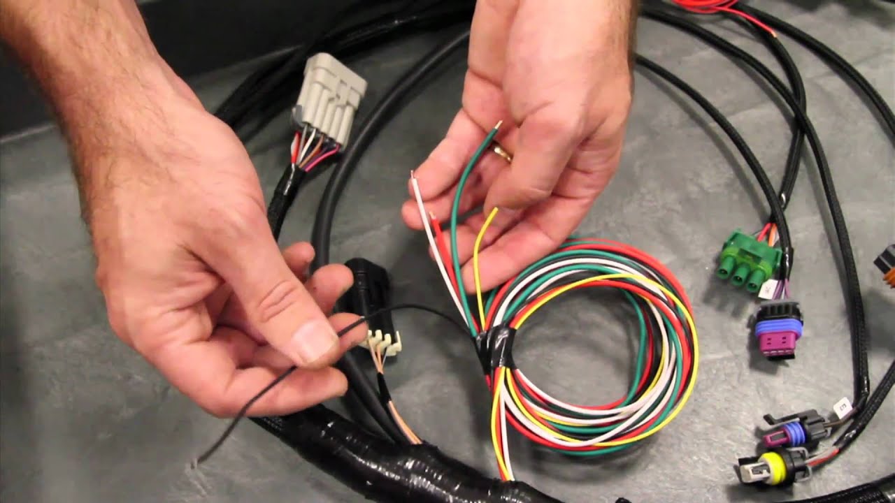 Holley - EFI Tech: Main Harness Overview