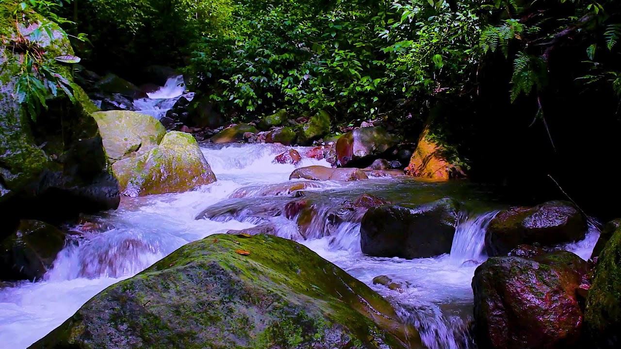 Mountain River Soft Water Flow | Relaxing Nature Sounds for Deep Sleep Tonight