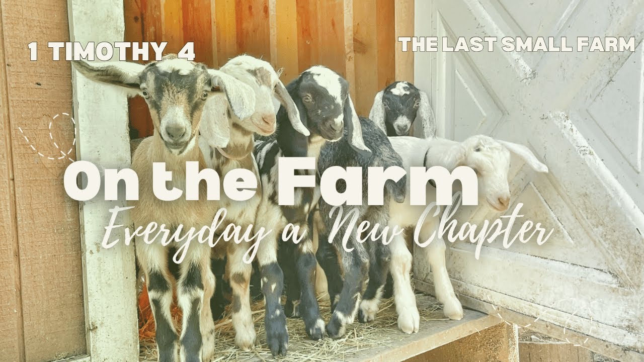 On the Farm | Everyday a New Chapter | 1 Timothy 4