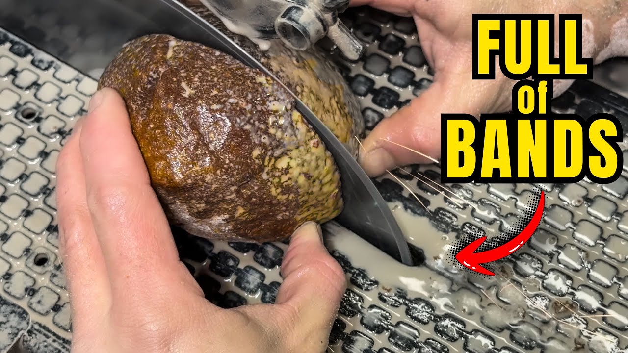 BIG Brazilian Agates Cut w/ Water Level Bands Inside!