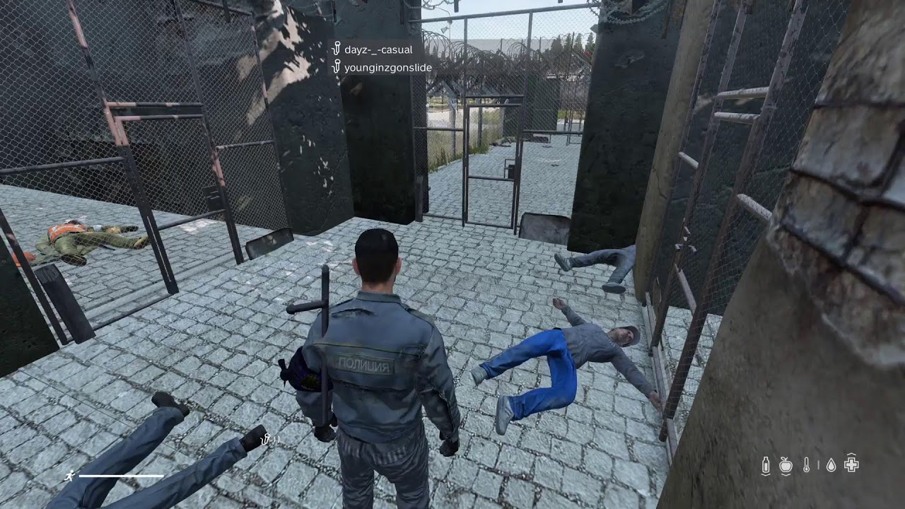 Dayz raid