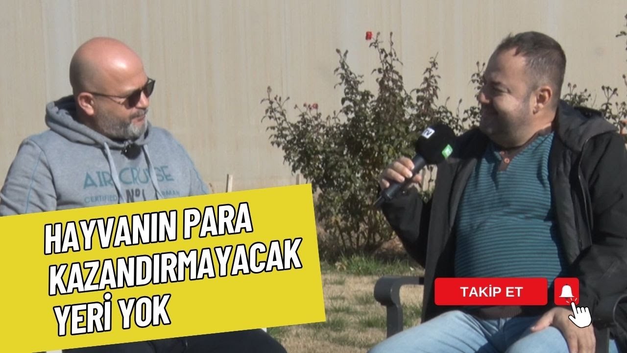 KÜÇÜKBAŞ YETİŞTİRİCİLİĞİNDE BÖLGELERE GÖRE IRK SEÇİMİ | KÜÇÜKBAŞ SAATİ
