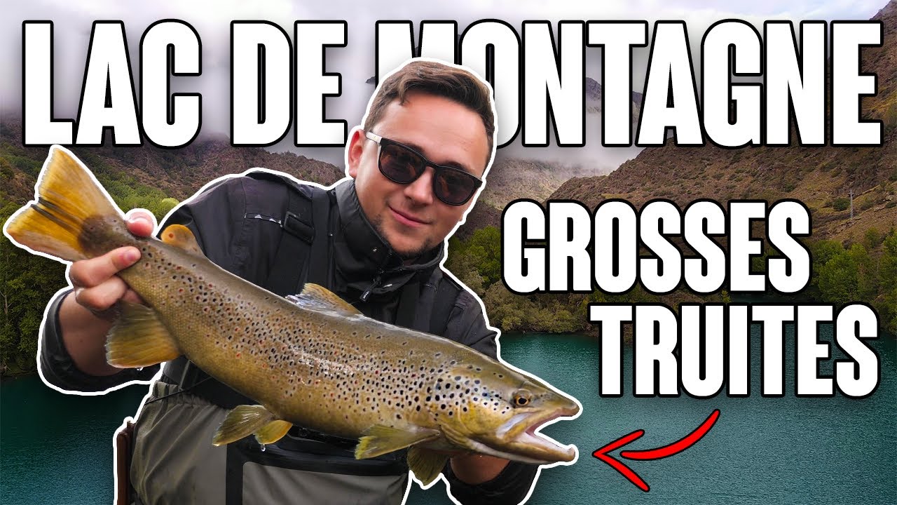 A la recherche des GROSSES TRUITES de LAC DE MONTAGNE !