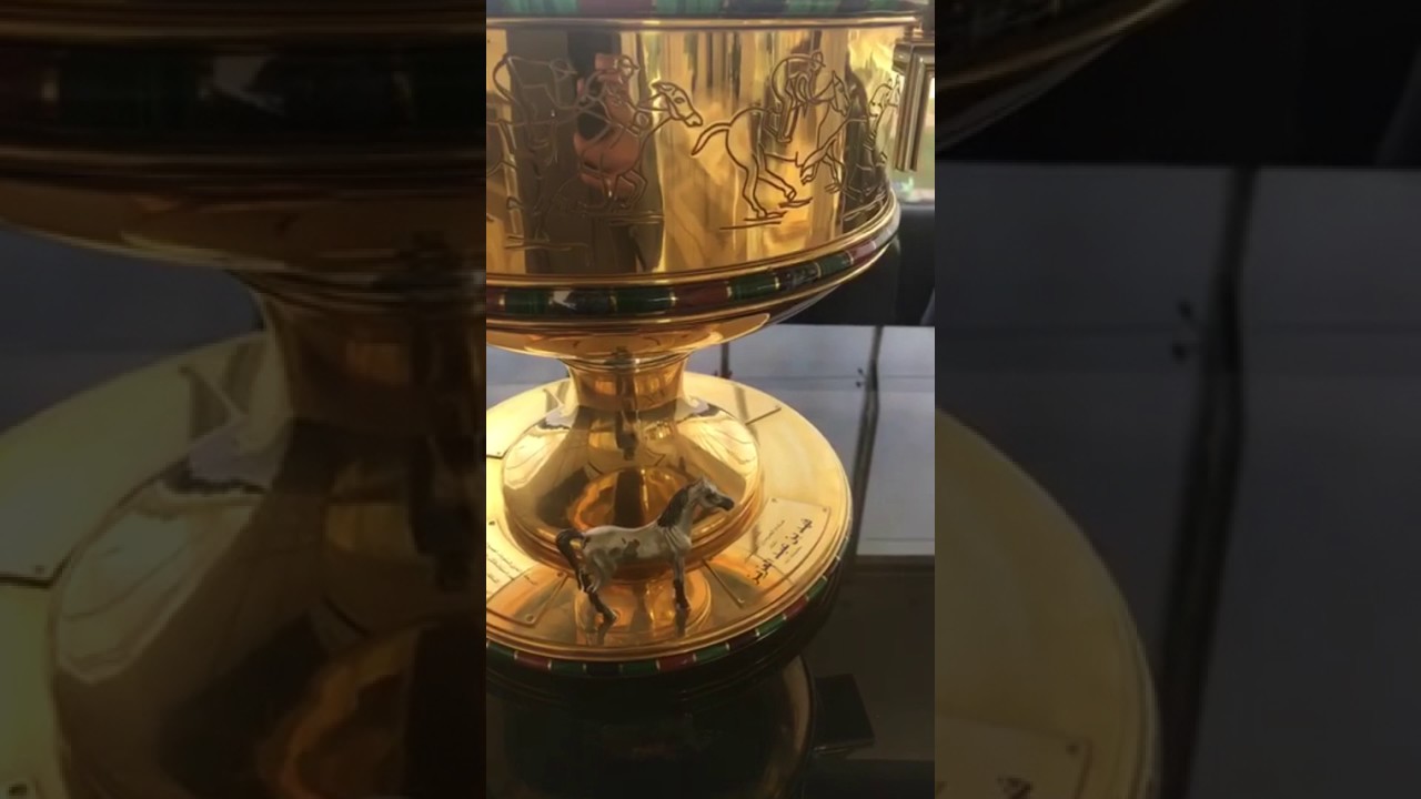 شي ماشفتوه في مزرعة ومنتجع نوفا ومحمية سفاري نوفا - مجالس اهل الخيل