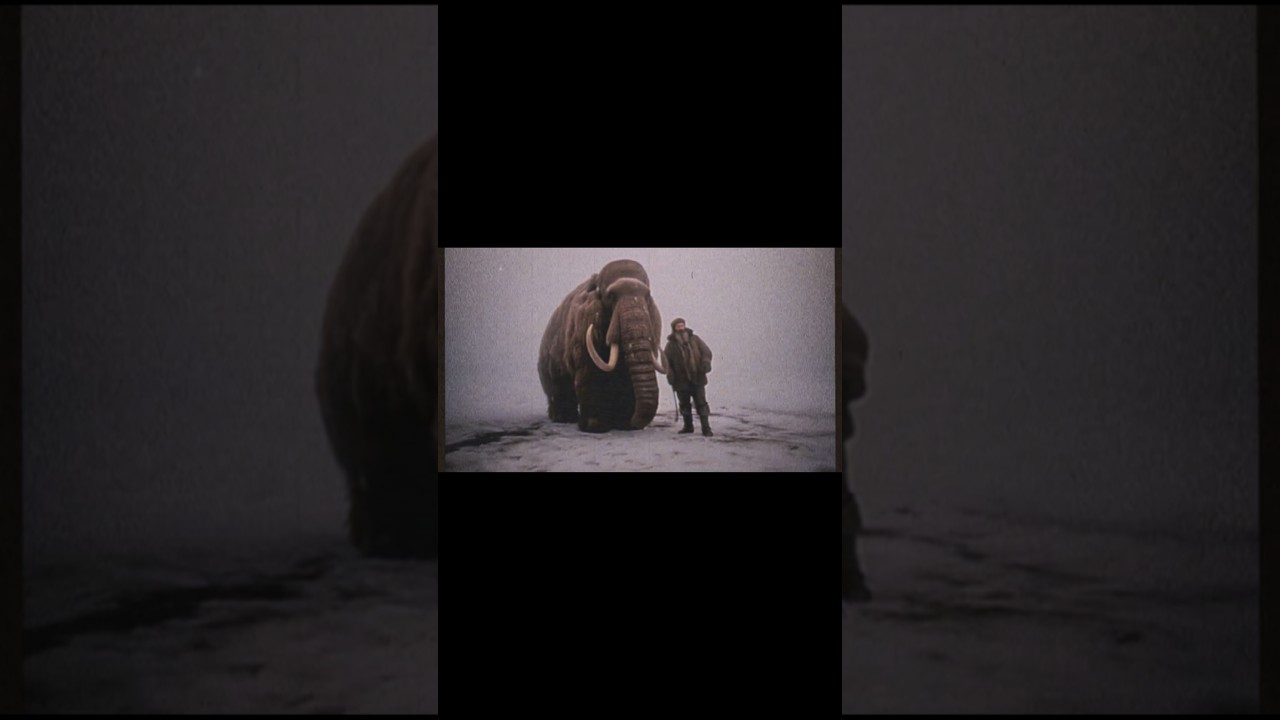 Only man on record to have a domesticated Woolly Mammoth #woollymammoth #giant #scary #nightmare #ai