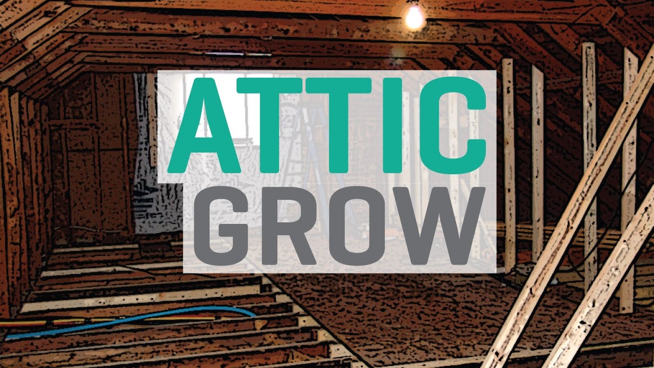 Growing in an Attic / Loft Space