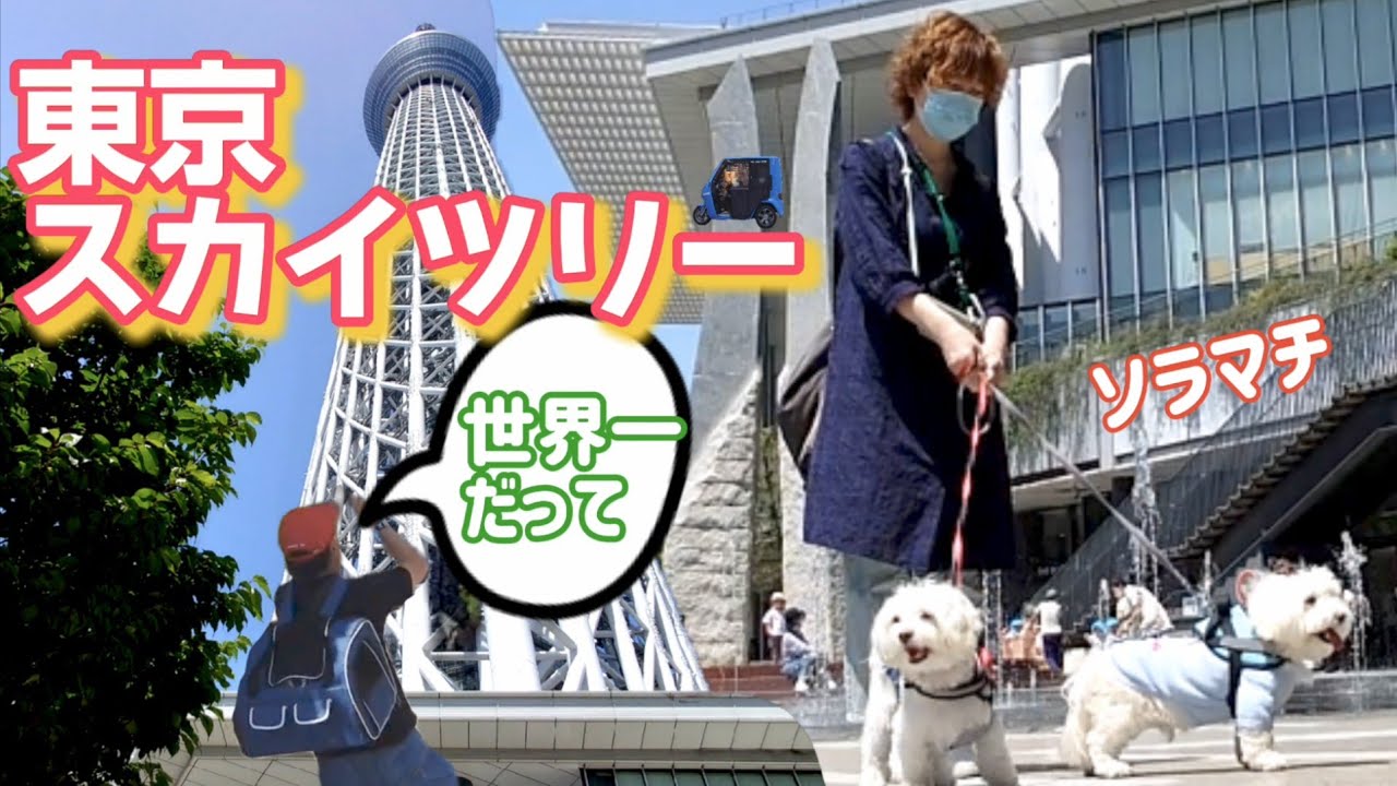 東京スカイツリーを眺めながら愛犬と散歩♪|ソラマチ館内は犬は顔を出せないから噴水楽しんだね