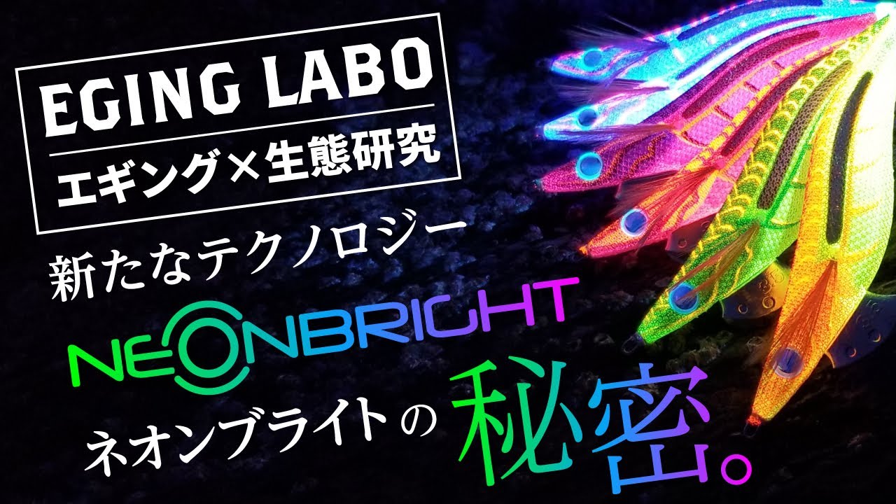 【エギングラボ】VOL.7 YAMASHITAの新たなテクノロジー ネオンブライト“ネオブラ”とは！？