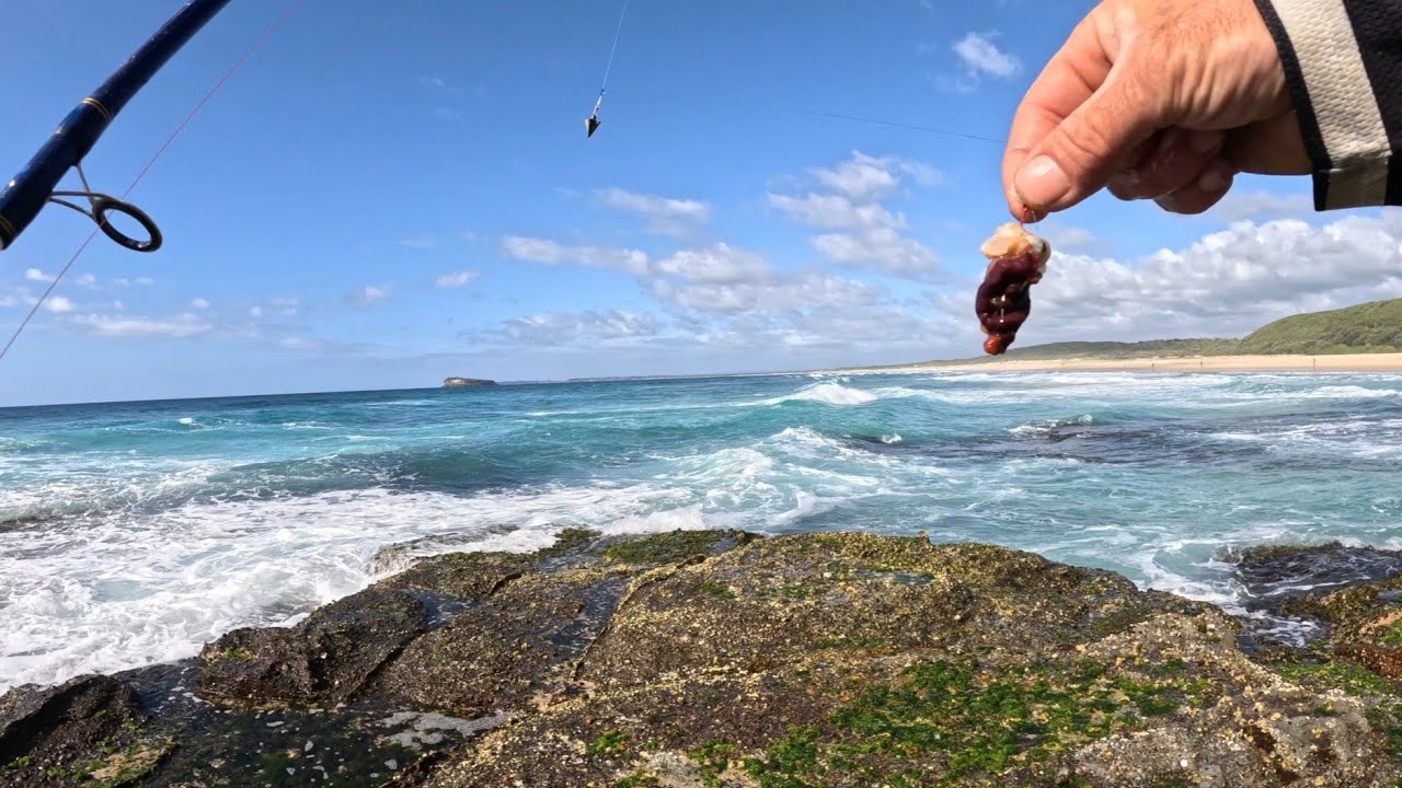 Beach fishing for beginners