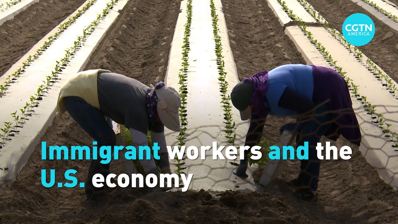 Immigrant workers and the U.S. economy