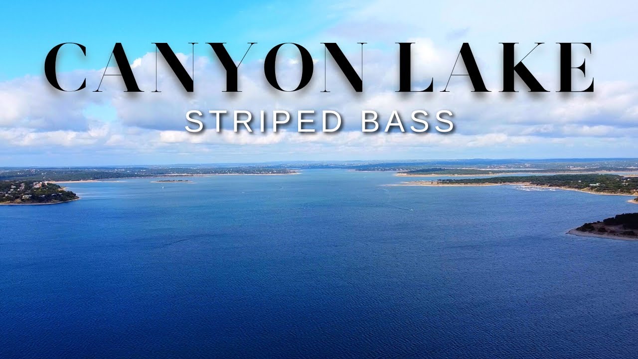 Fly Fishing for Striped Bass in Texas Hill Country // Canyon Lake