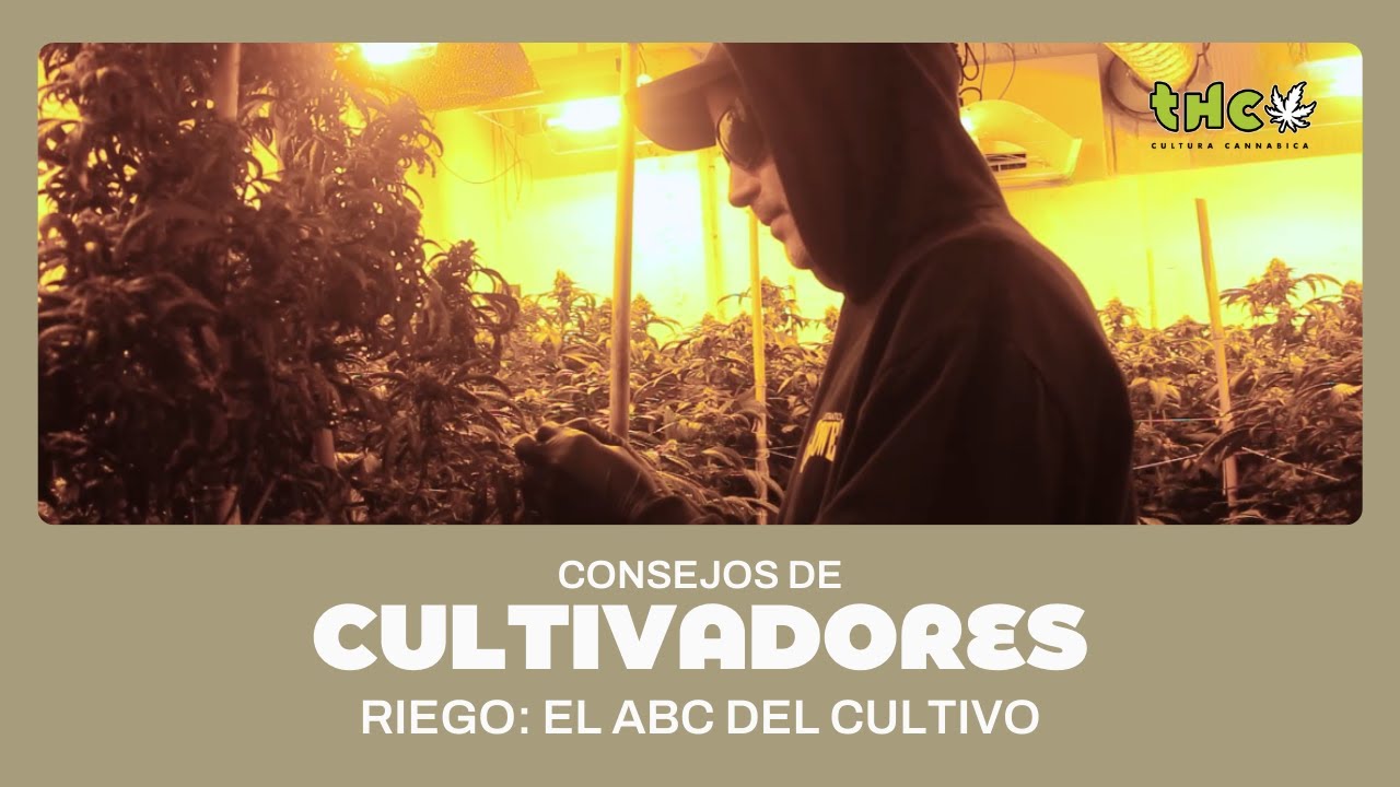 El ABC para el MEJOR CULTIVO