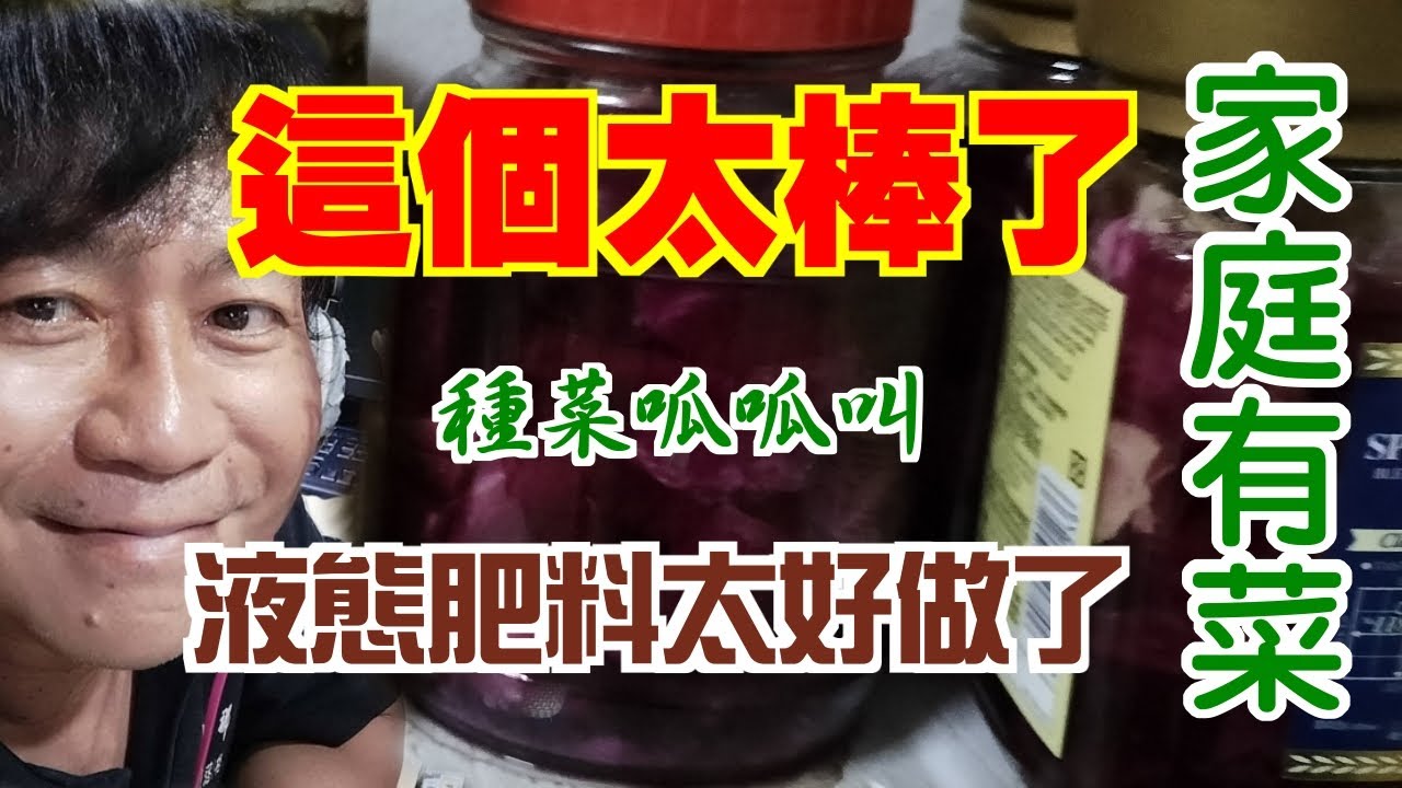 【家庭有菜】液態肥料的製作方法，簡單又實用，一定要推薦給大家