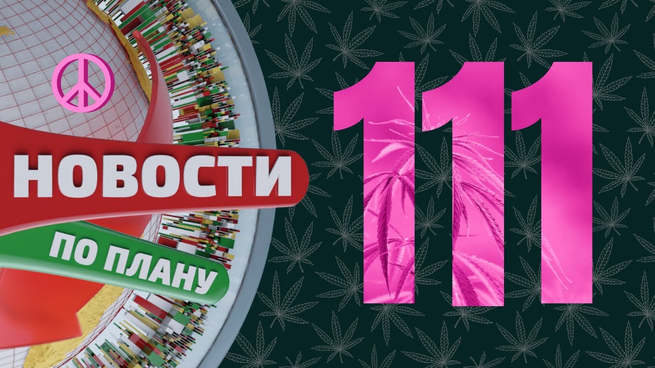 Воронеж и Тула на рынке конопли. Ещё одна страна с легалайзом. Чё там твиттер? Новости по плану №111