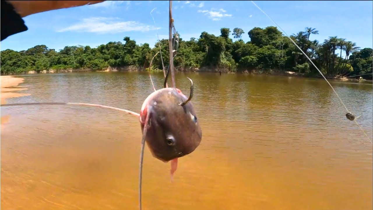 'Aqui não se perde nada! O que virou refeição rendeu outra captura"