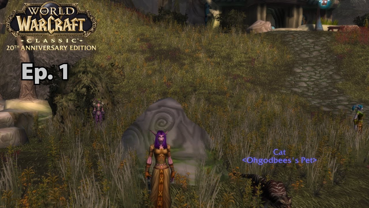 World of Warcraft Classic Anniversary Hunter Leveling-No Commentary | Part 1