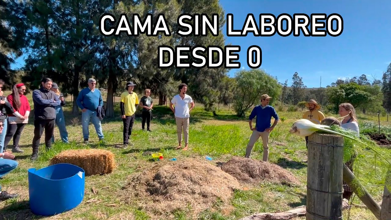 COMO HACER una CAMA DE CULTIVO SIN LABOREO - REGENERANDO la TIERRA & CULTIVANDO ABUNDANCIA