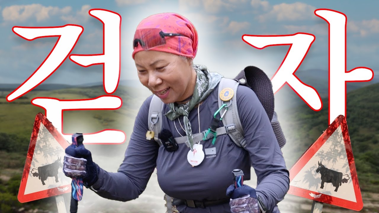 [까미노의 일상 10] 행복과 감동의 연속이었던 여행길