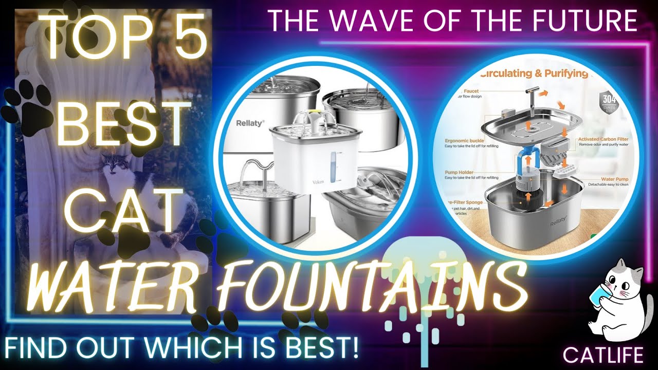 The Best Cat Water Fountains we can all afford: TOP 5 Amazon Reviewed. #cat #catwaterfountain #cats