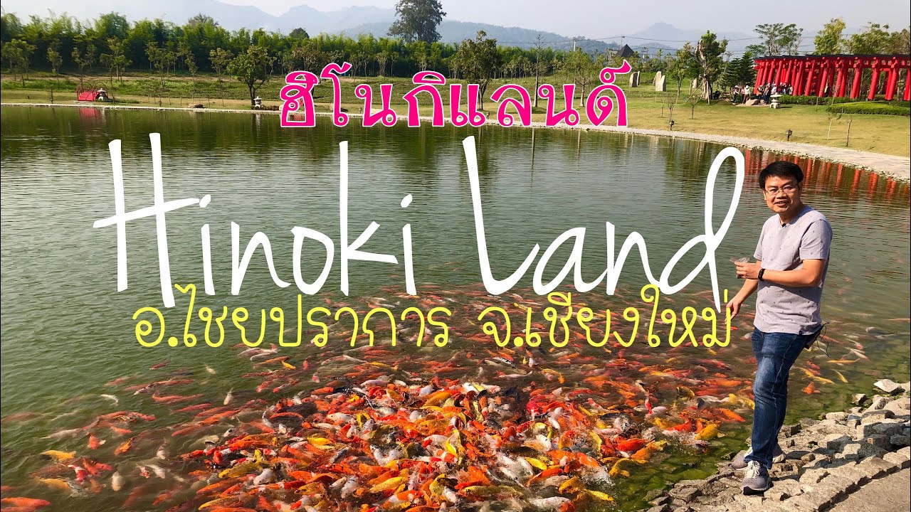 ฮิโนกิแลนด์ Hinoki Land ไชยปราการ เชียงใหม่ I by นายโตรุ่ง#MrTORUNG ChilLax I