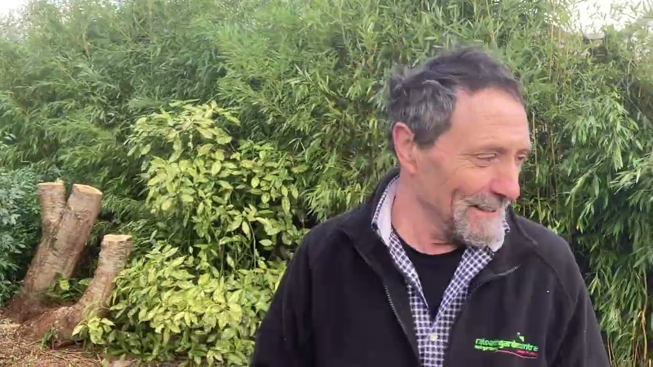 How Small Jobs in the Garden Become Big Jobs