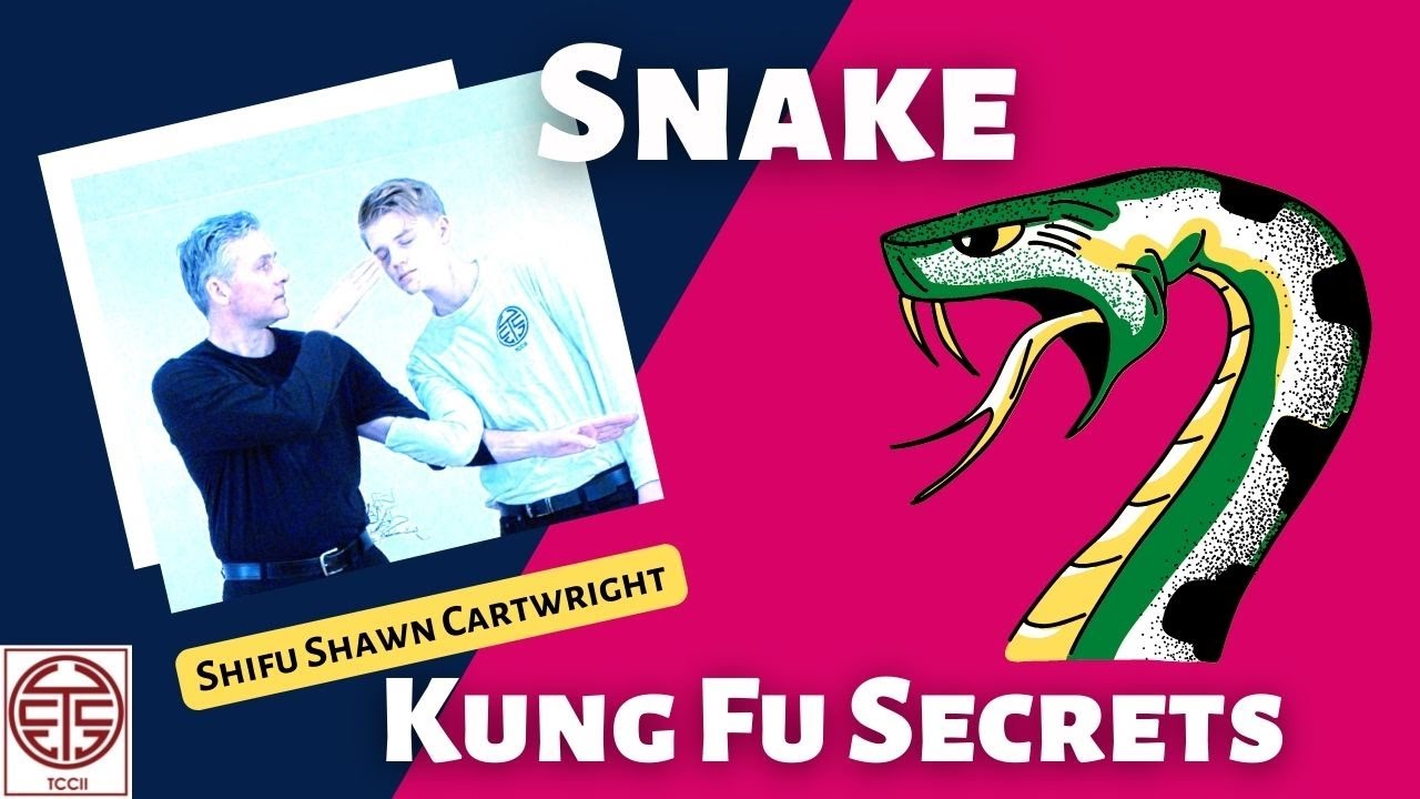 Snake Kung Fu Animal Style Striking & Techniques - Kung Fu Secrets