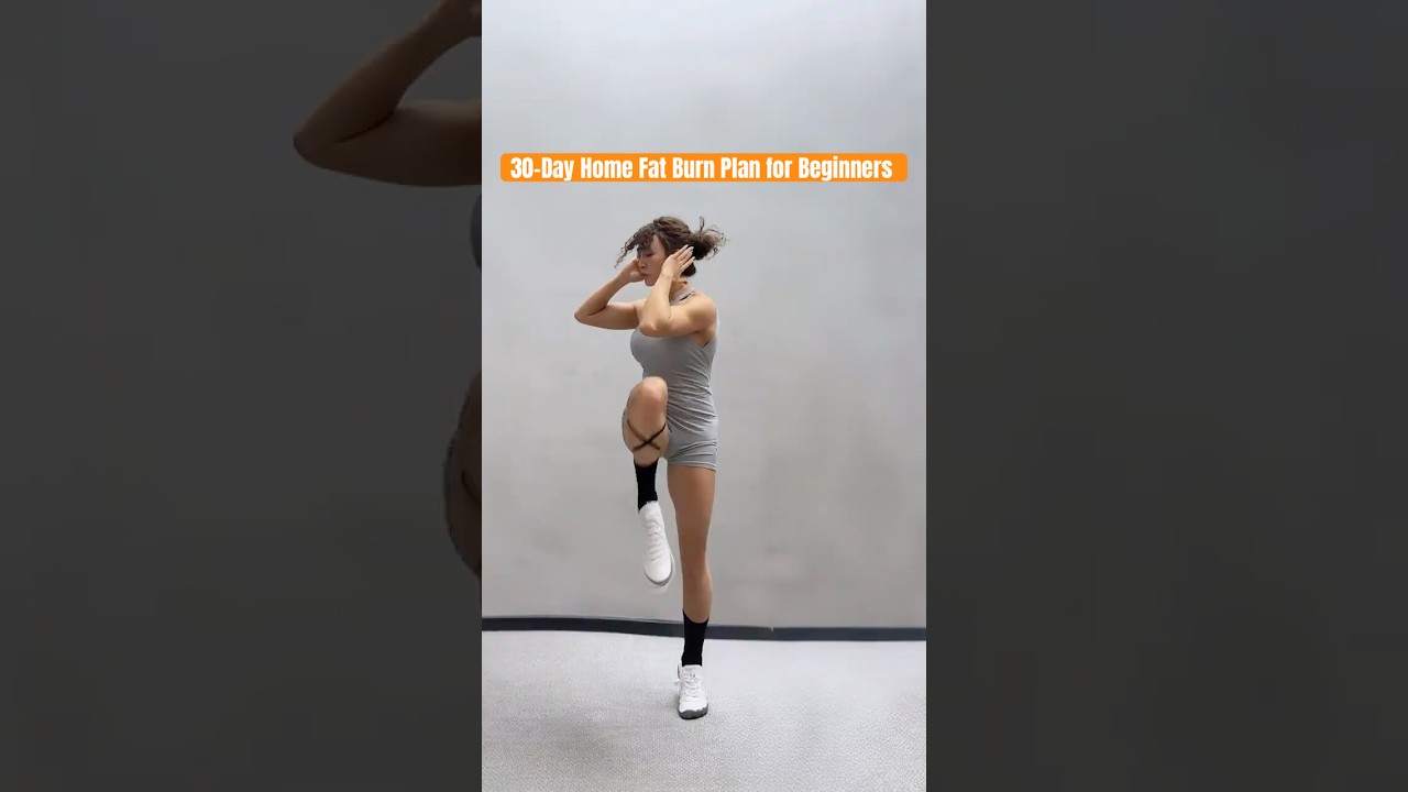 30 Day Full Body Fat Burning Home Workout Plan for Beginners &ndash; Just 1 Simple Move