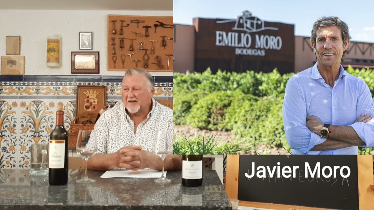 247 - Los dos estilos de Ribera del Duero , cl&aacute;sico y moderno.