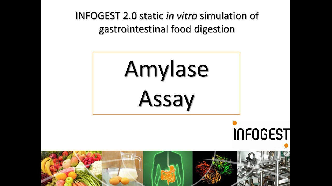 Amylase Activity Assay for the INFOGEST 2.0 Method for Food (2019 update in Nature Protocols)
