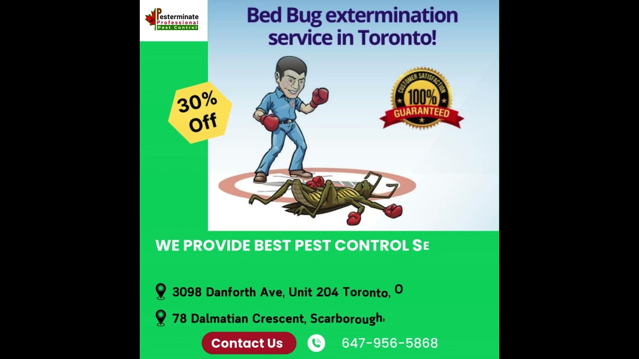 Bed Bugs Control Service in Scarborough, Toronto #home #residentialpestcontrol  #pestcontrolservice