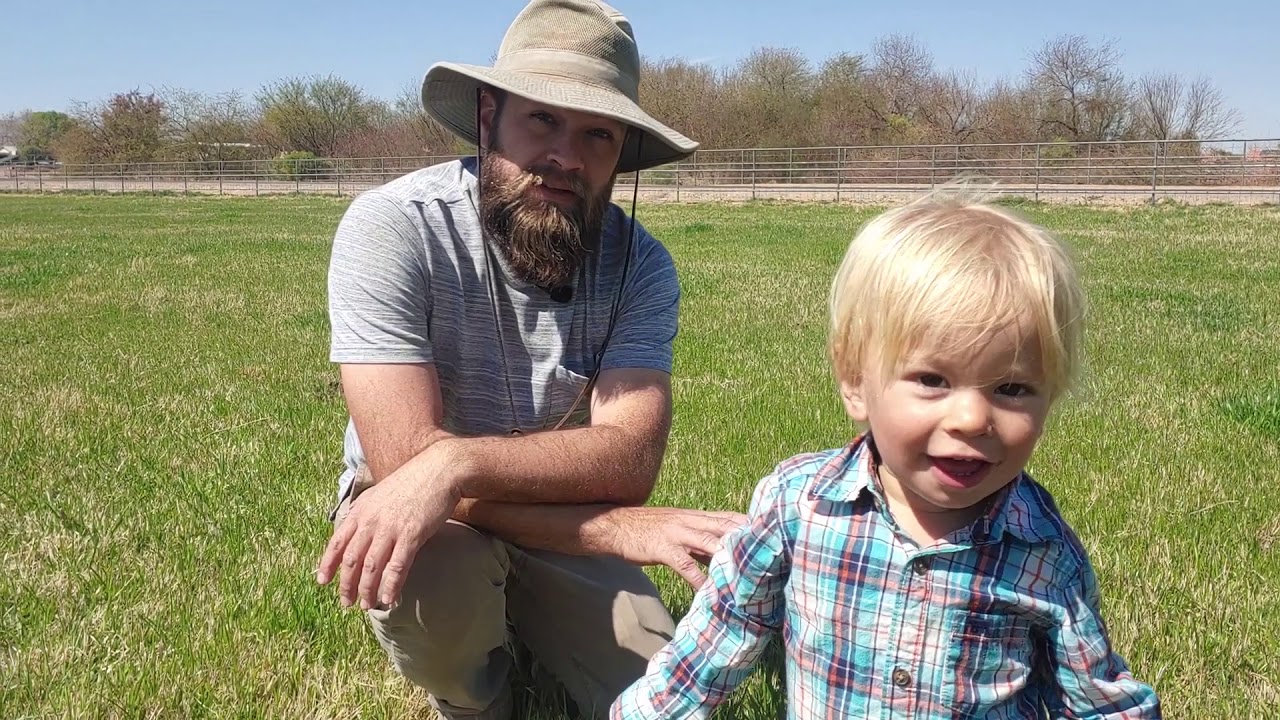 One year later: Our small scale rotational grazing has great results