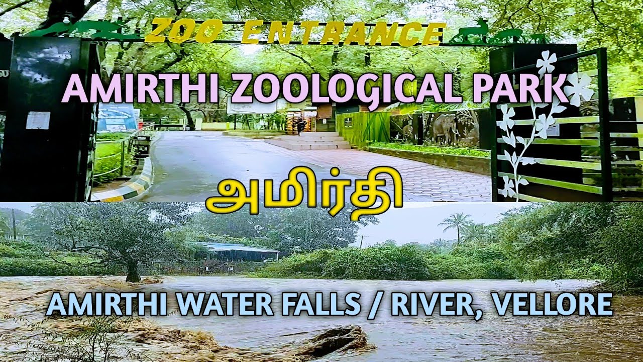 Amirthi | Zoological Park | Water Falls | அமிர்தி | Vellore District | Cube Videos