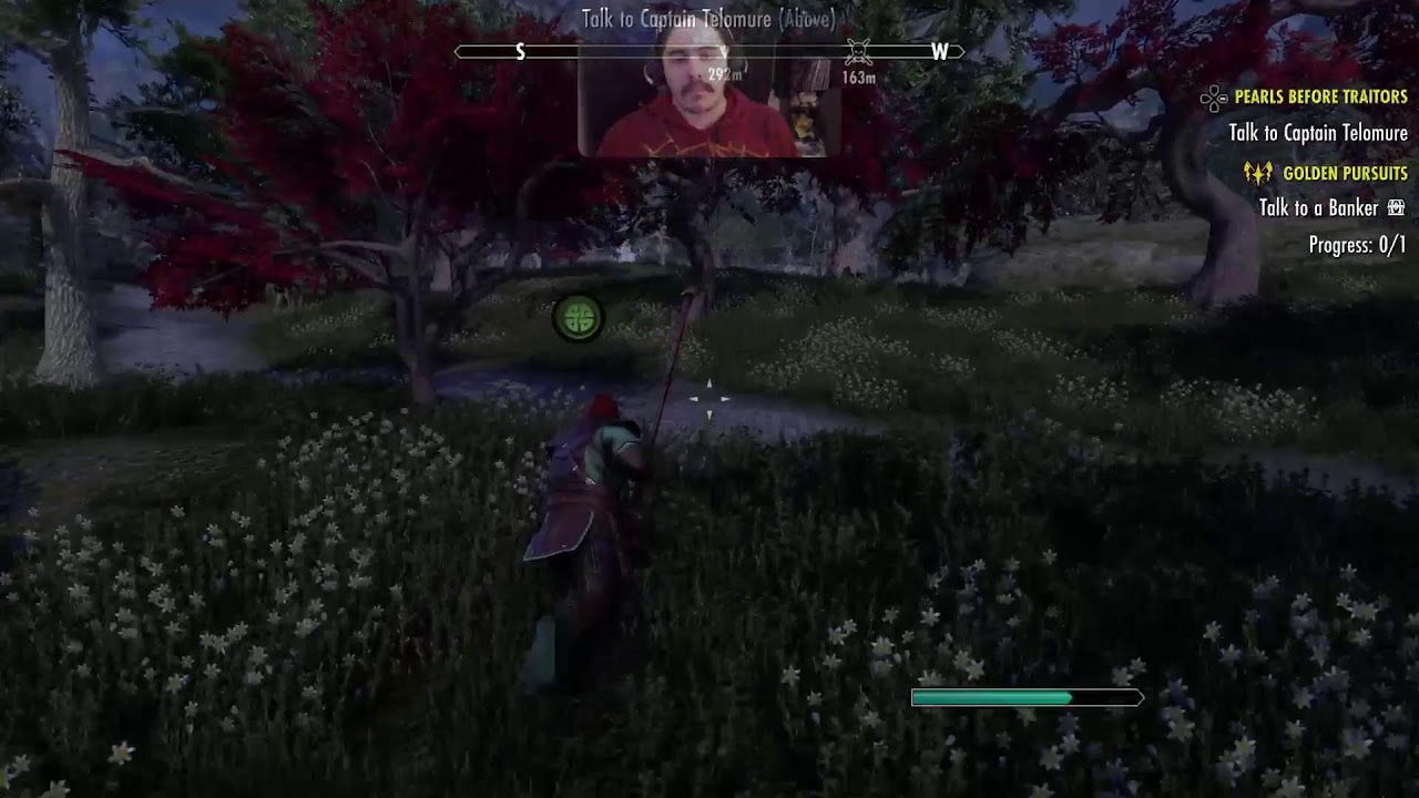 The Elder Scrolls ONLINE