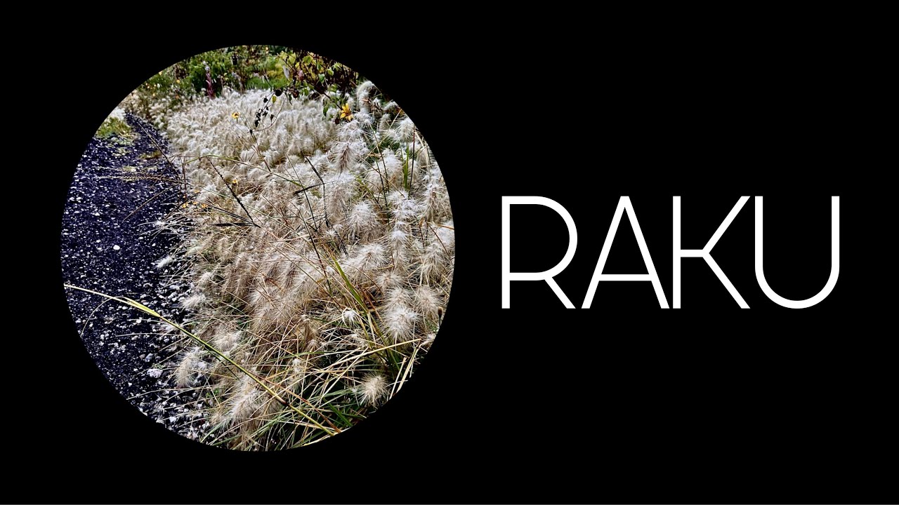 RAKU