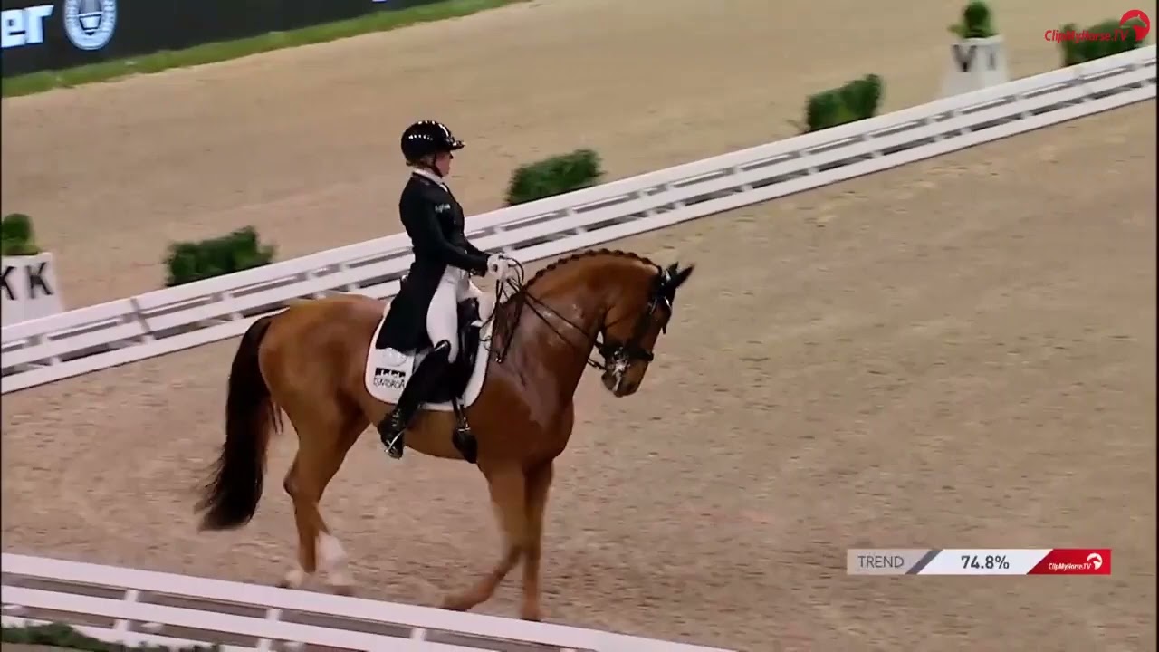 Preis der Firma Stihl - GERMAN DRESSAGE MASTER