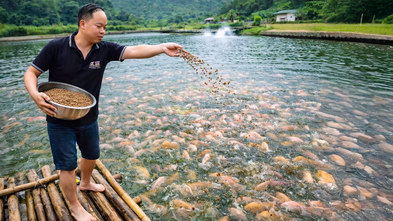 Man Makes Wild Food For His Farm Animals & Feeds Pigs, Chickens & Fish by Hand | Start to Finish