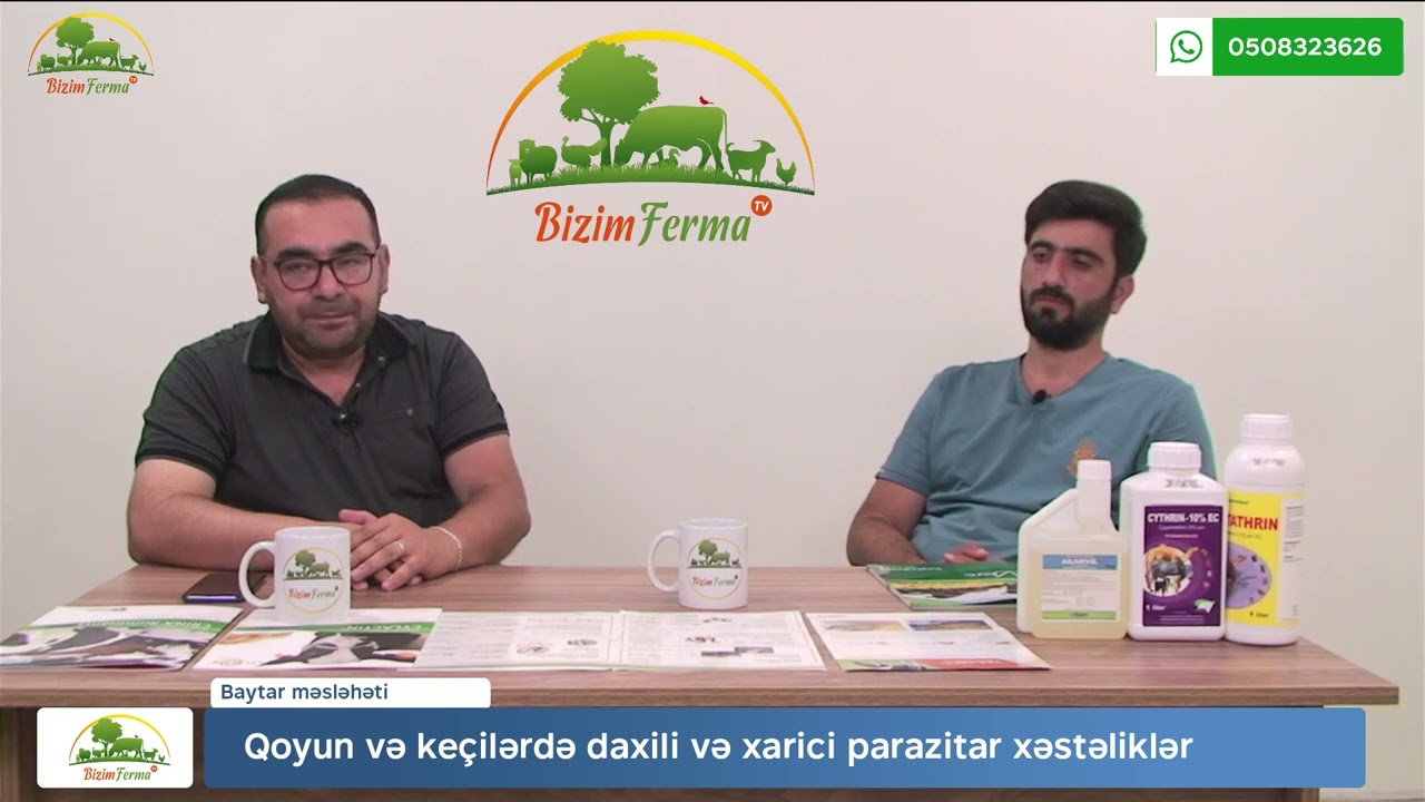 Qoyun və keçilərdə daxili və xarici parazitar xəstəliklər
