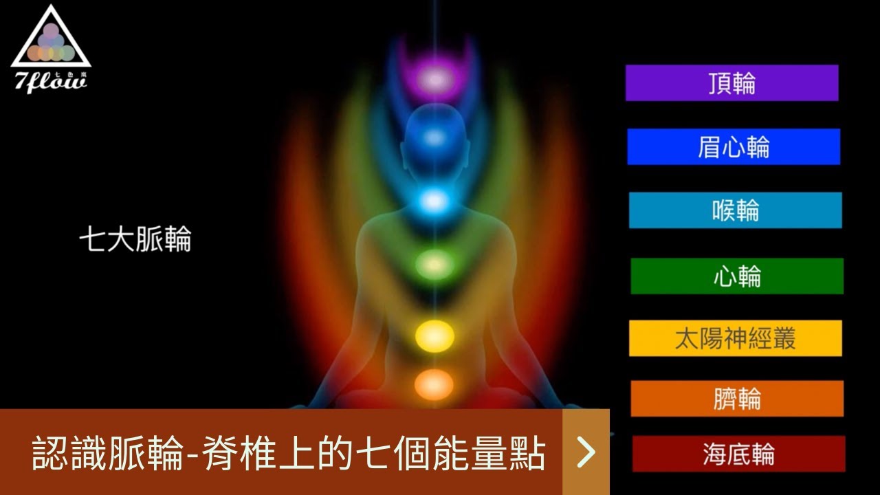 認識脈輪｜脊椎上的七個能量點