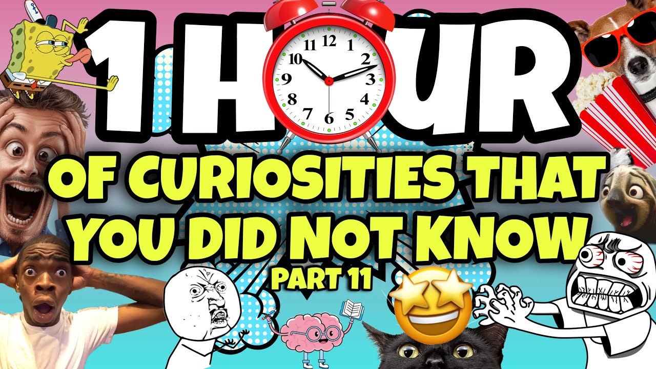1 HOUR OF CURIOSITIES AND THINGS YOU DIDN'T KNOW 🧠⏰ #11