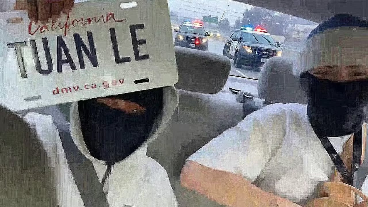 Лучшие моменты прямых трансляций Lil Ignorants Gooderist!