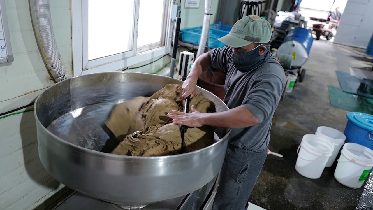 making eel feed