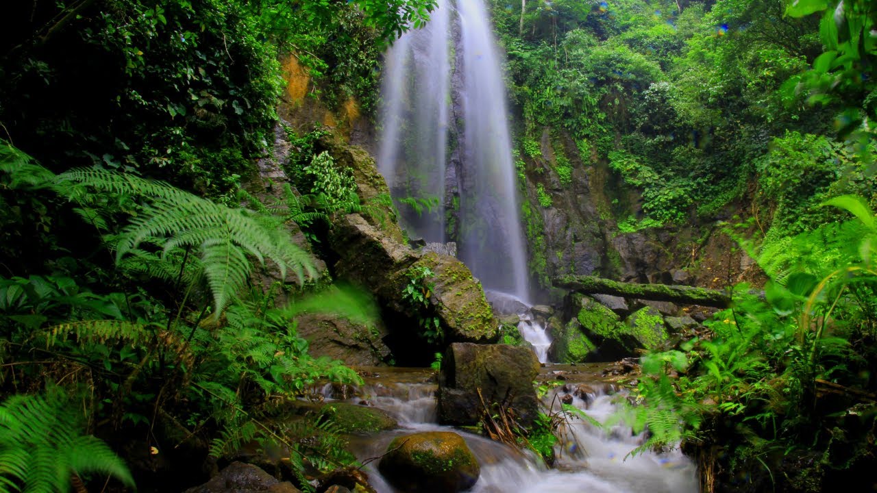 Relaxing Waterfalls| Mesmerizing Forest| Healing nature by nature relaxing stuff.