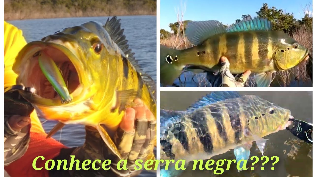 Serra da Mesa #Serra Negra #Pescaria em família #pescaria #fishing #tucunare