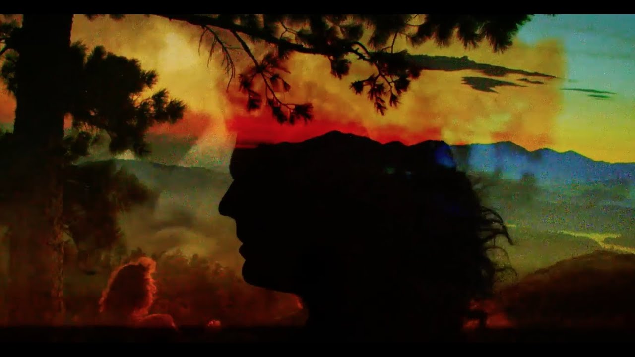 Triptides - So Many Days  [Official Video]