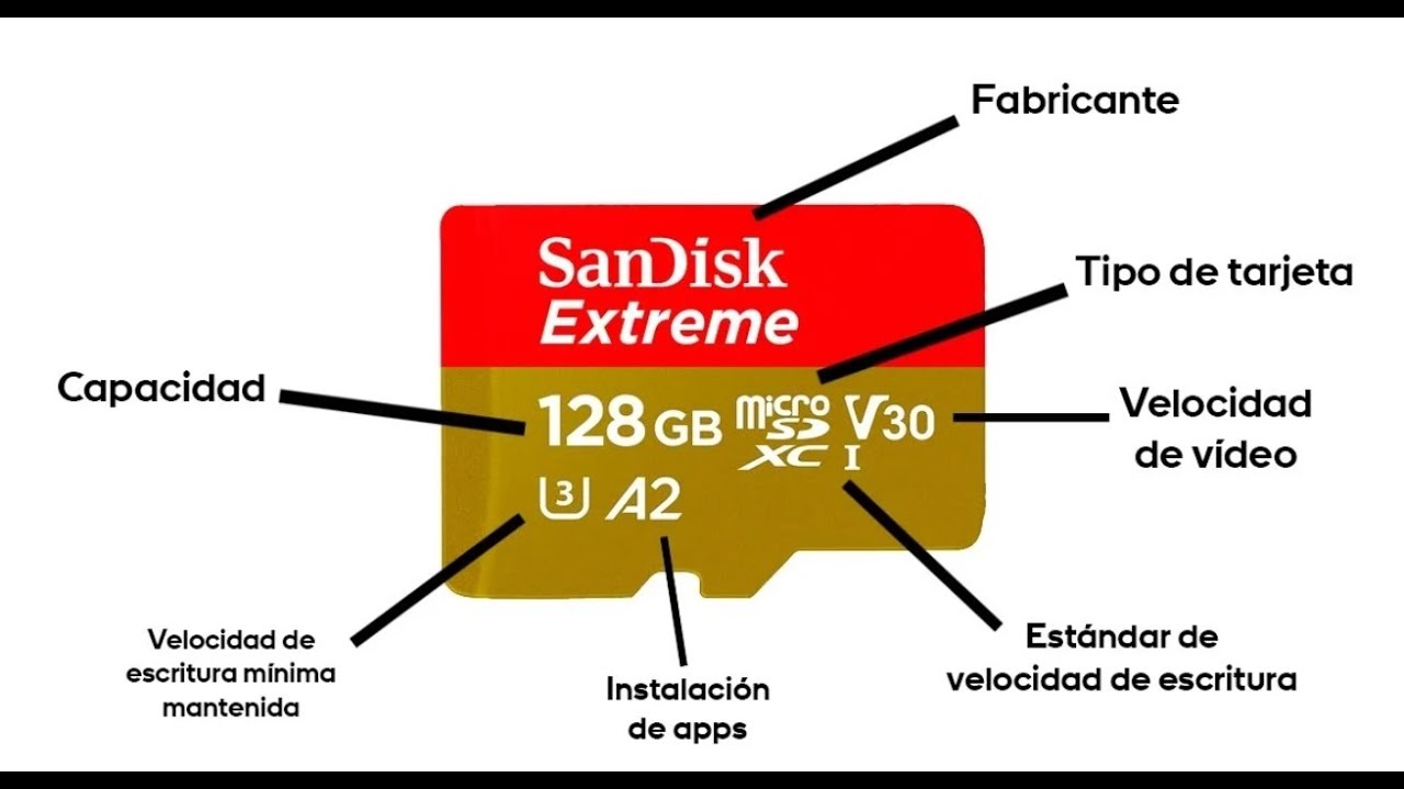 Tipos de TARJETA SD para cámara, drone, Gopro, movil... Kinston, SanDisk, Samsung, Gigastone