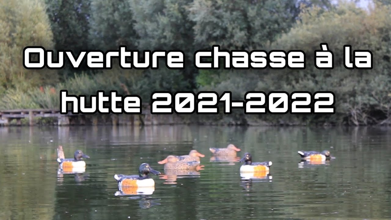 Journée de l’ouverture de la chasse à la hutte - Romain Chasse Passion