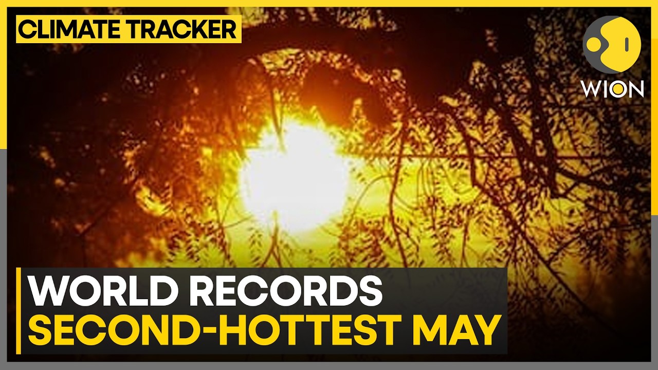 Britain, France & Ireland Witnessed Record-Breaking Temperatures | WION