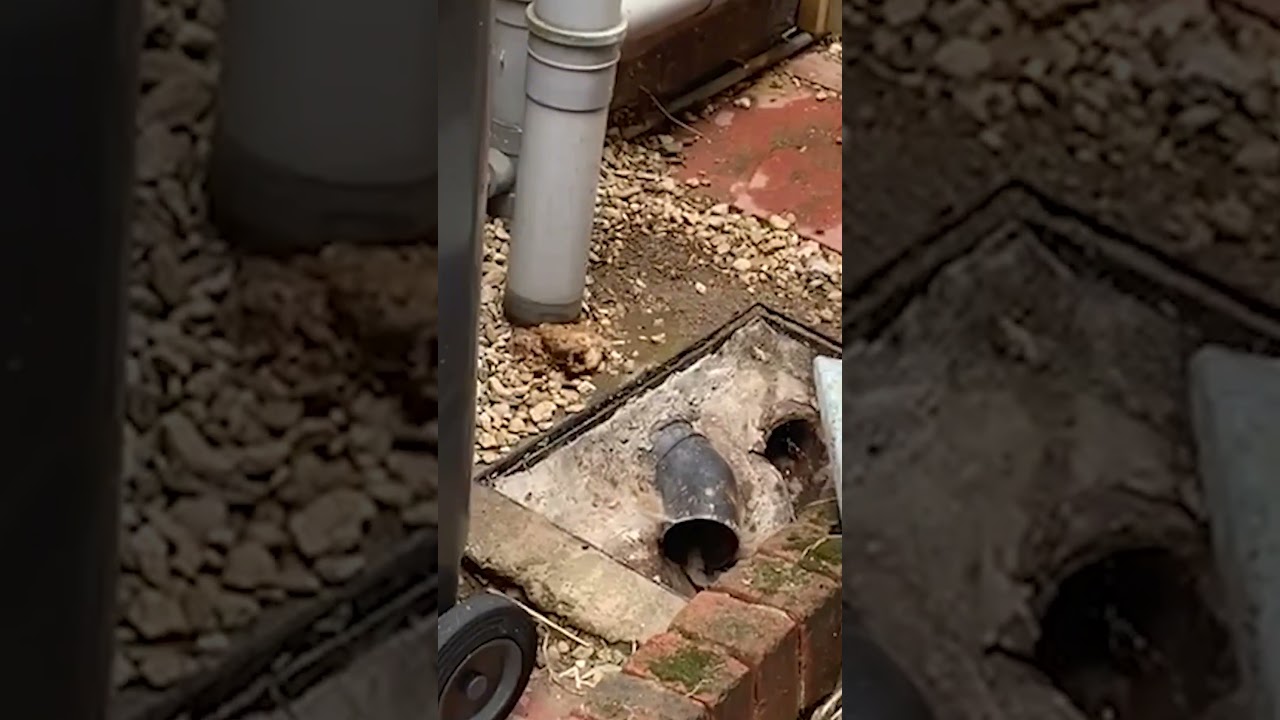💩 Бывает #fyp #строительство #строительнаяжизнь #строители #длятебя
