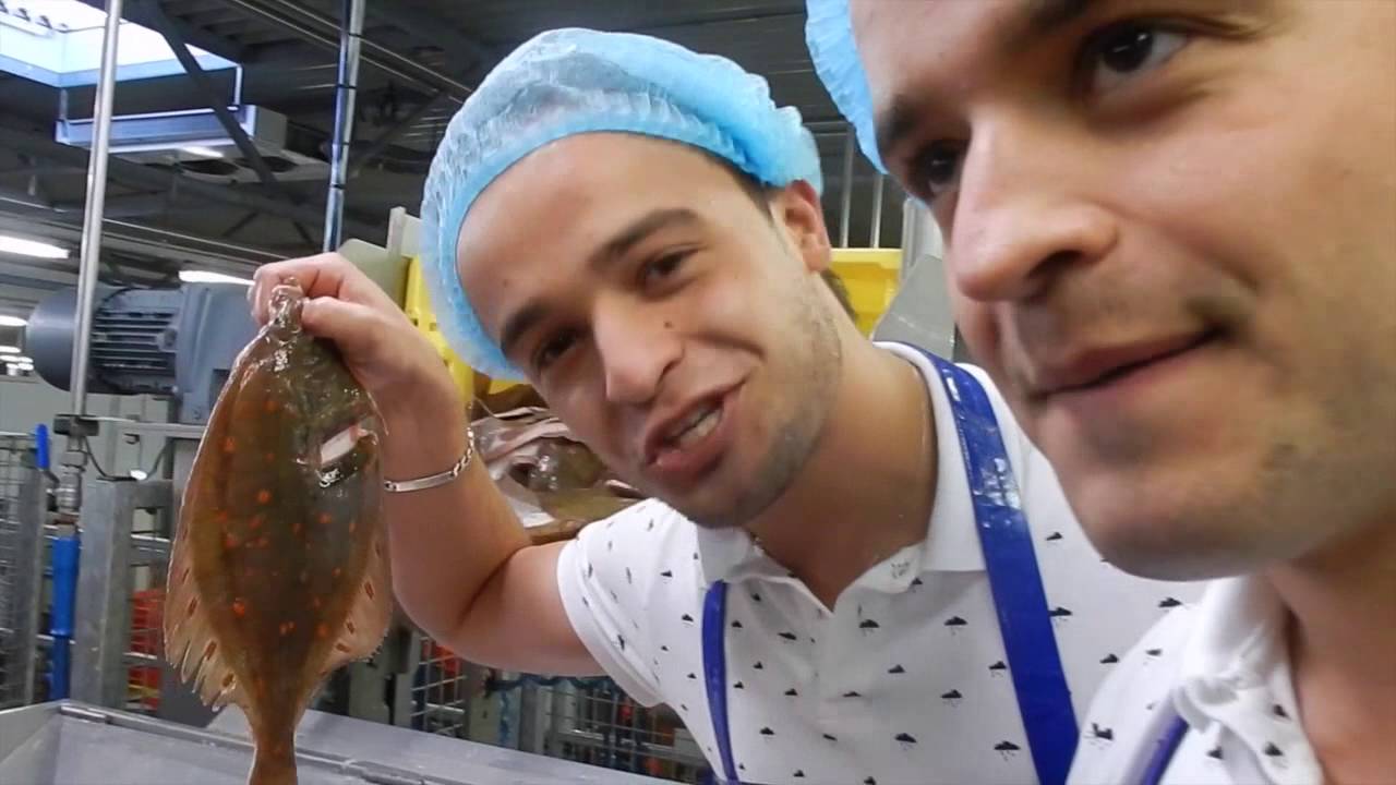 VLOG #3: De visafslag in Urk    ~De Visbroeders Show~